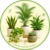 Plants